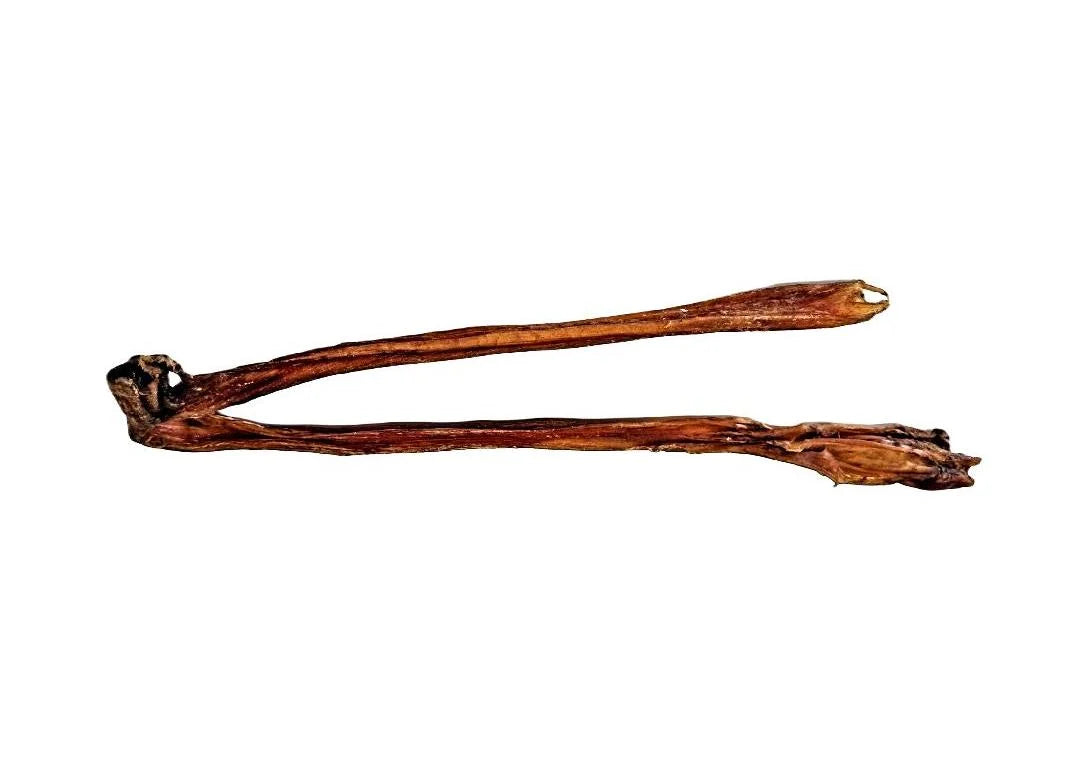 Achilles tendon