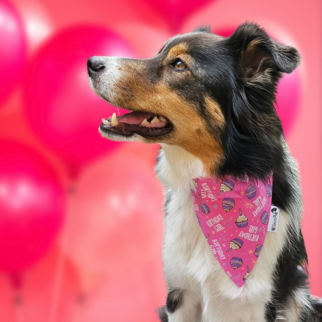 Birthday Girl Bandana