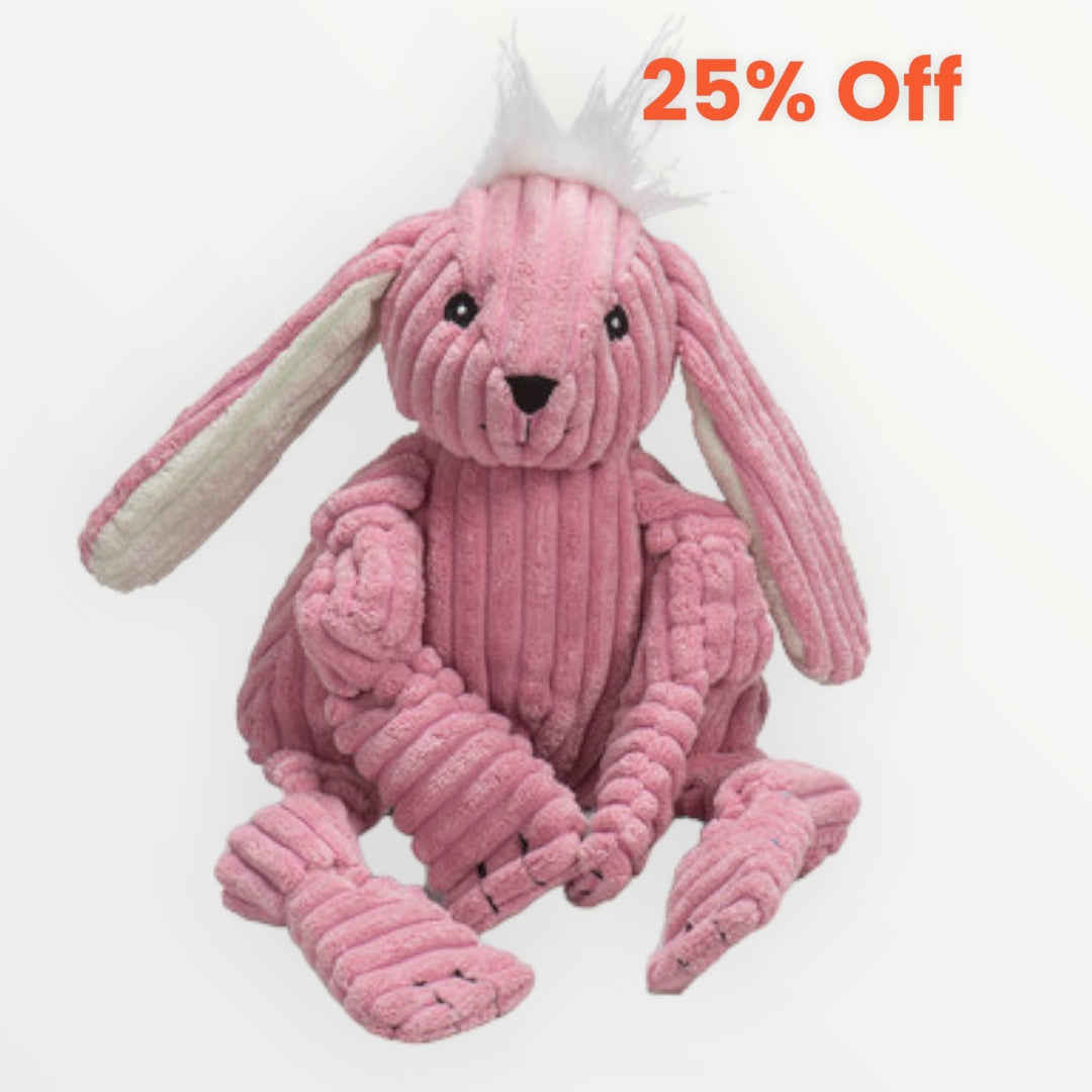 HuggleHound - Bitsy Bunny Knottie
