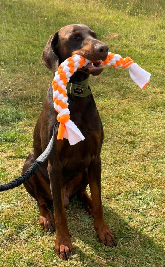 Tug Toy