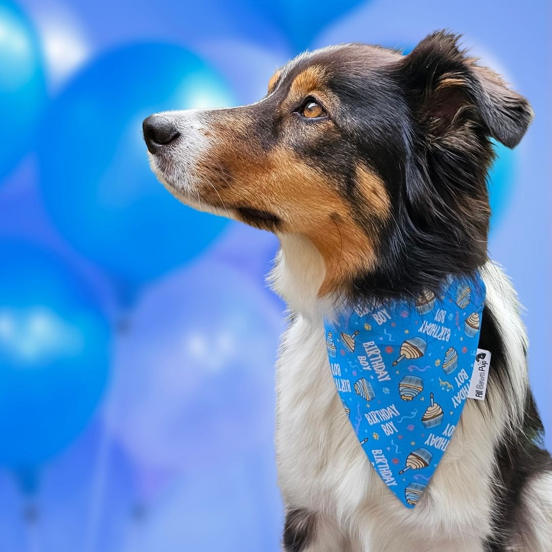 Birthday Boy Bandana