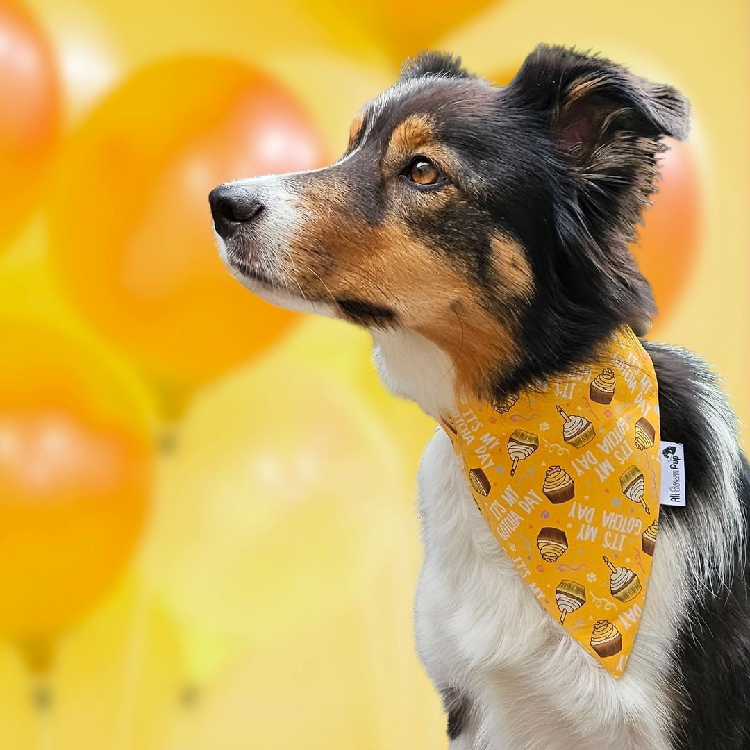 Happy Gotcha Day Bandana