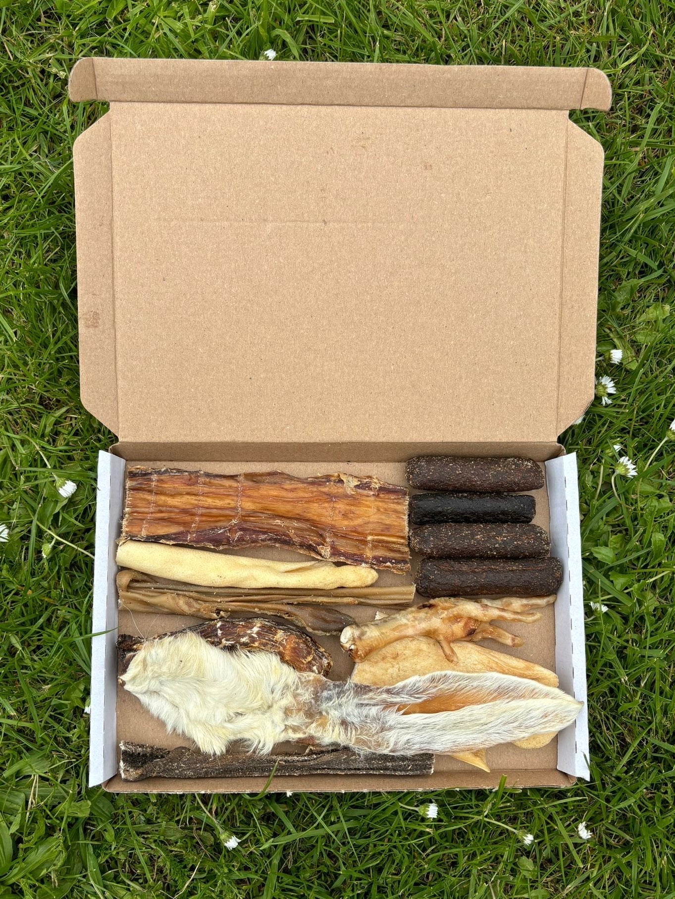 Mailbox Munchies