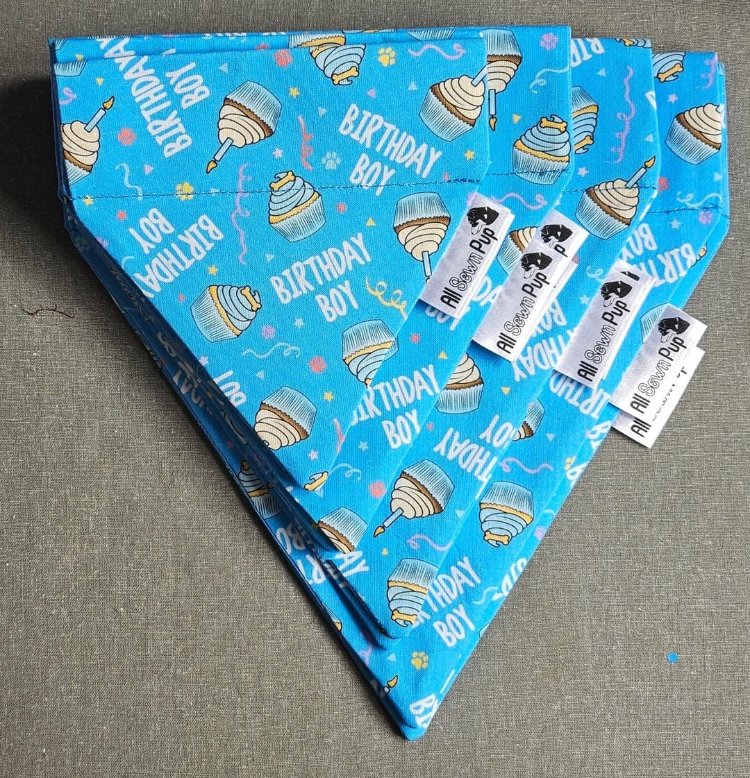 Birthday Boy Bandana