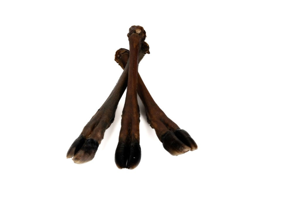 Venison leg - large