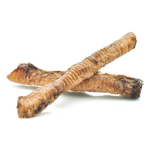 Lamb Trachea