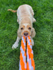 Tug Toy