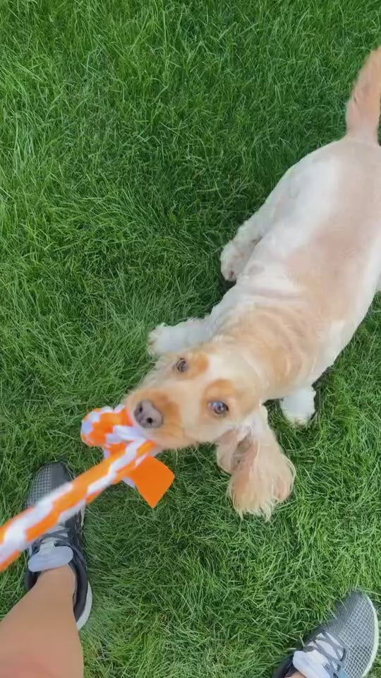 Tug Toy