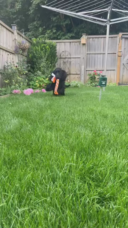 Tug Toy