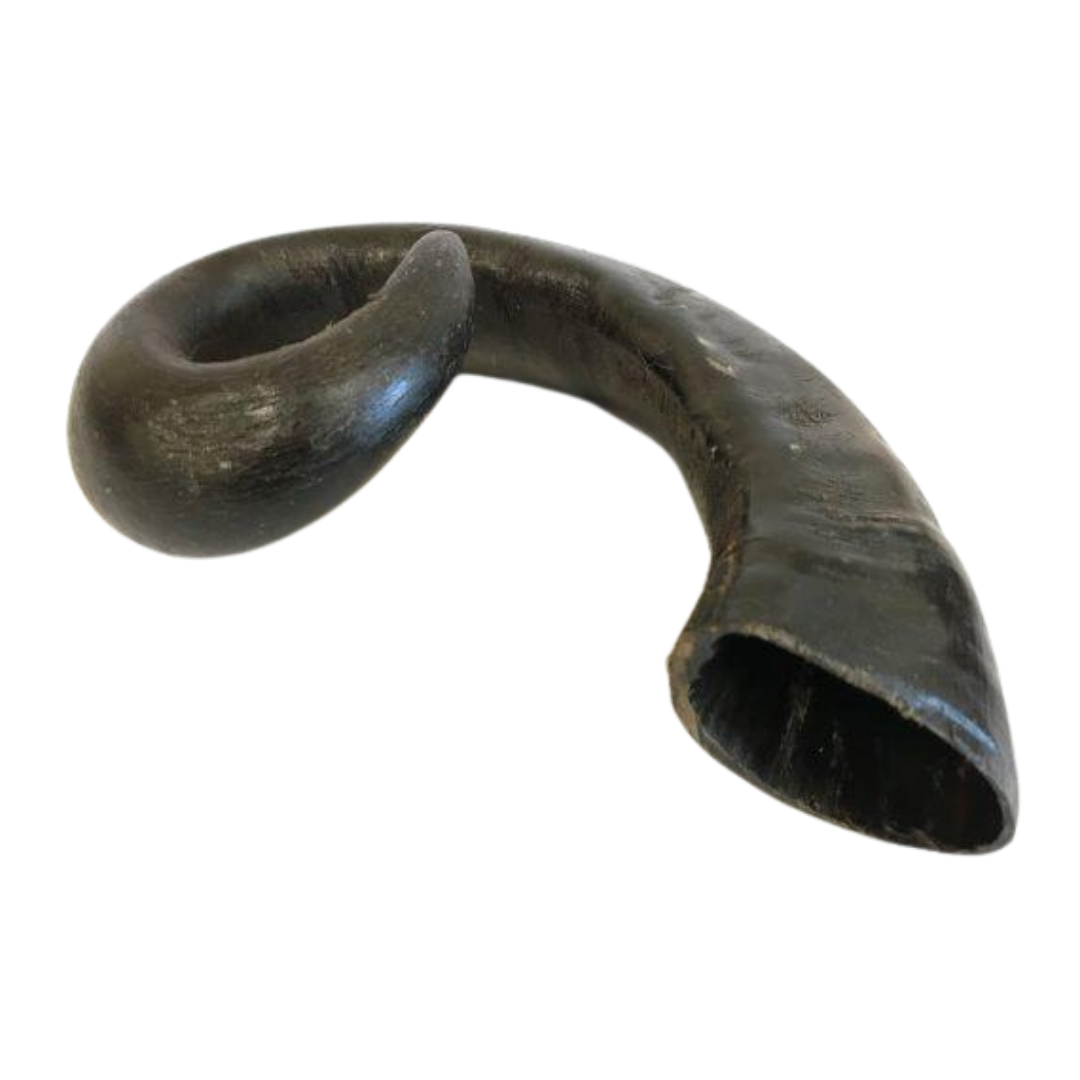 Buffalo Horn