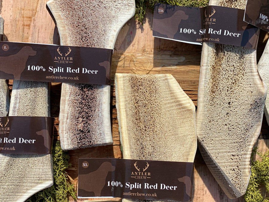 Split Red Deer Antler Chew