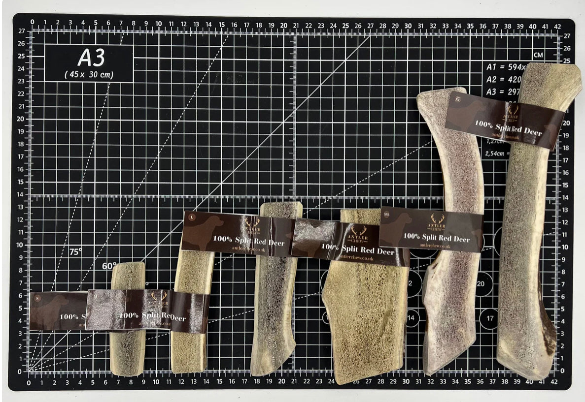 Split Red Deer Antler Chew
