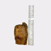 Flat Beef Gullet